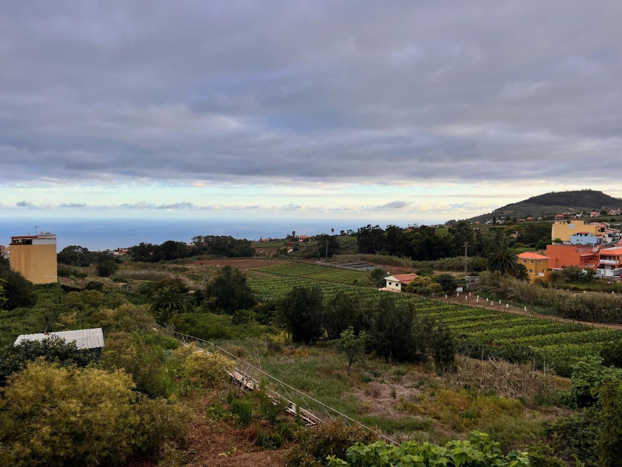Casa Maricarmen Villa Tacoronte Εξωτερικό φωτογραφία