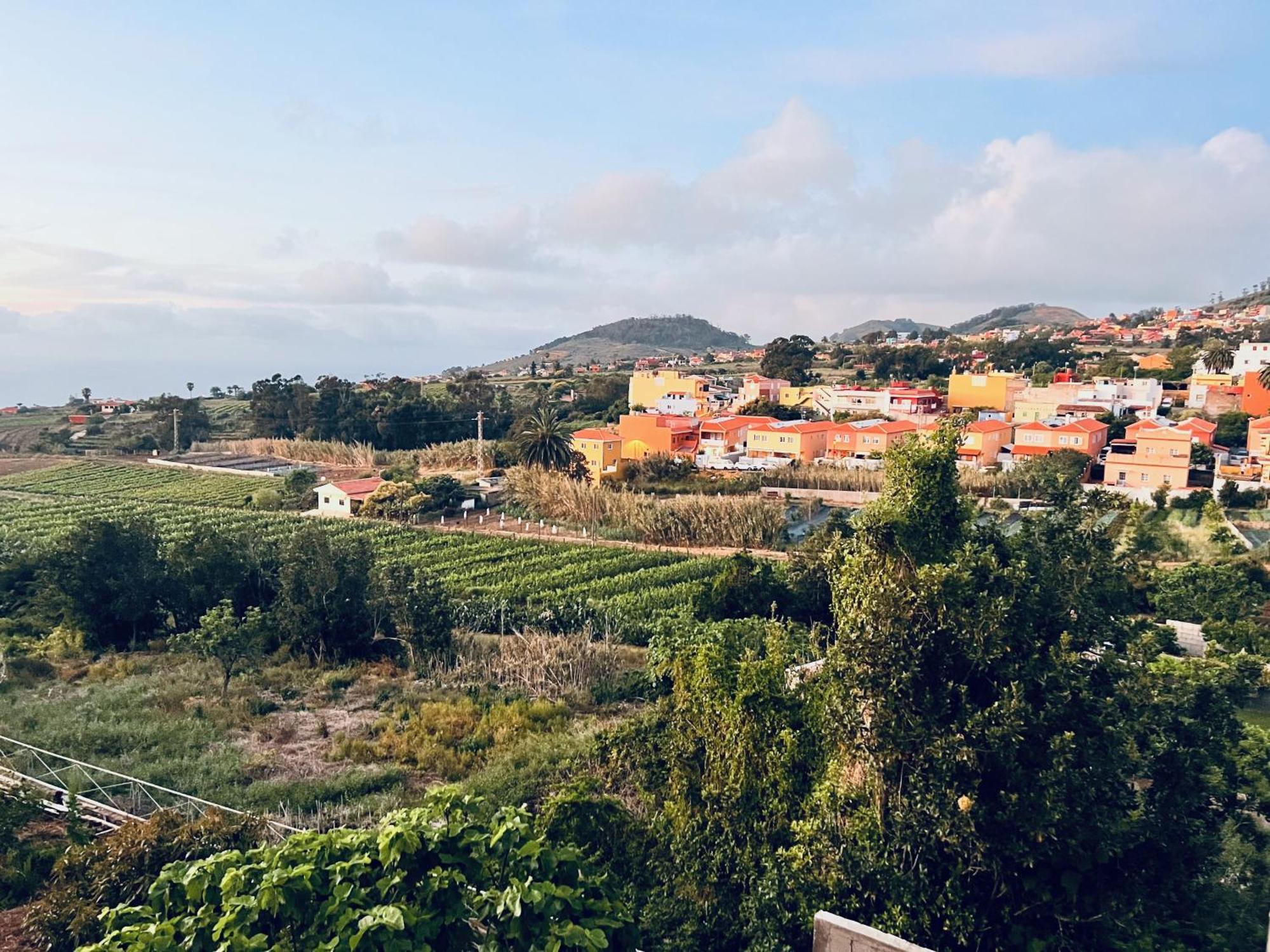 Casa Maricarmen Villa Tacoronte Εξωτερικό φωτογραφία